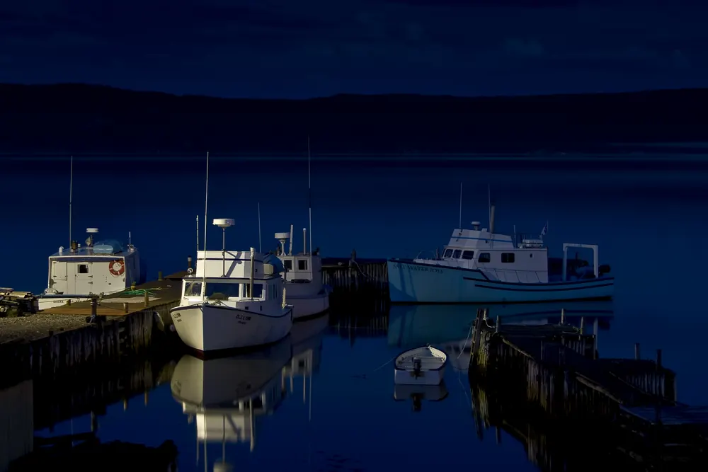 Springdale harbour at night: fishing boats tied up at the wharf, their reflections in dark still water.